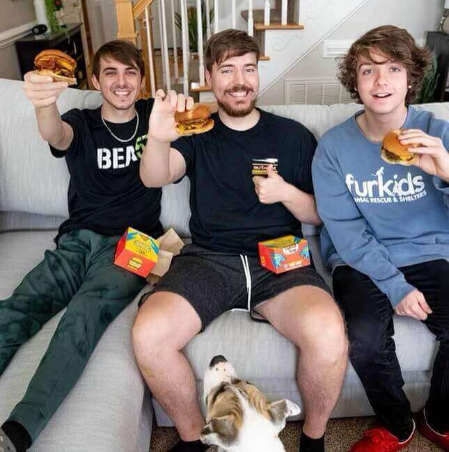 mrbeast net worth prediction india - BIO SPC PORTAL