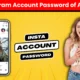 Instagram Account Password